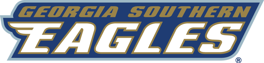 Georgia Southern Eagles 2004-Pres Wordmark Logo v2 iron on transfers for T-shirts